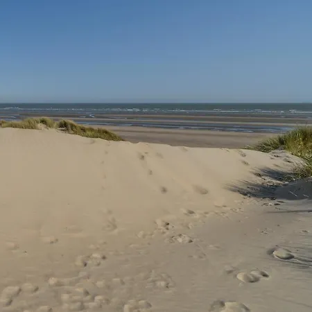 Le Calme Des Dunes קוקסיידה
